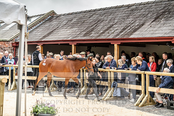 GUK Yorton Sale 2019-291