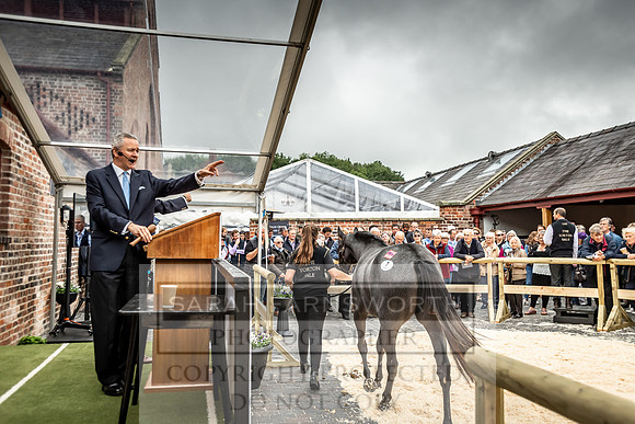 GUK Yorton Sale 2019-315