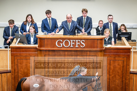 Goffs UK PY24-382