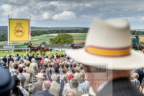 GUK Goodwood Sale 2019-57