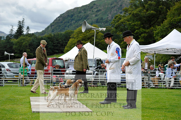 Rydal 2014 CF2 912