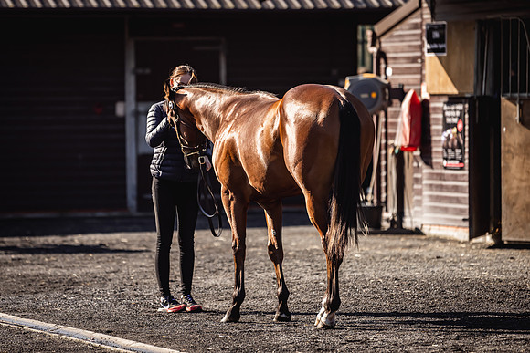 Goffs UK Breeze Up 2022-112