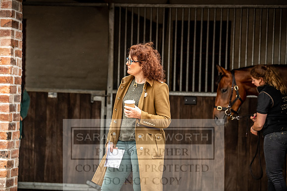 GUK Yorton Sale 2019-223