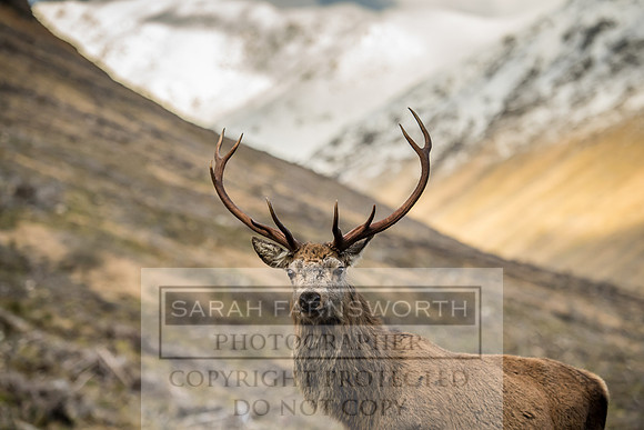 Glen Coe & Glen Etive January 2018-6