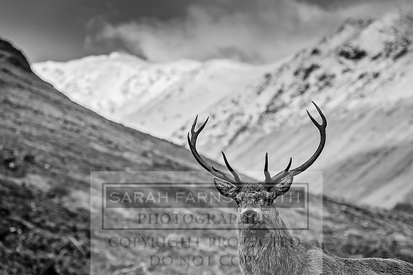 Glen Coe & Glen Etive January 2018-7