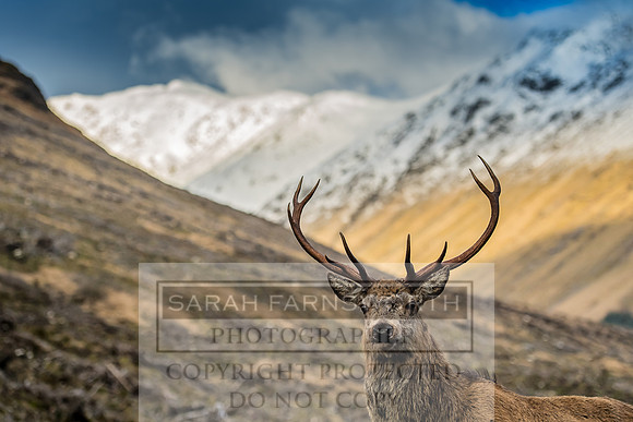 Glen Coe & Glen Etive January 2018-8