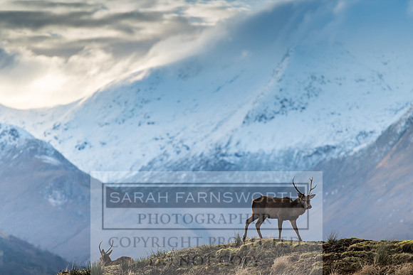 Glen Coe & Glen Etive January 2018-9