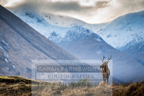 Glen Coe & Glen Etive January 2018-11