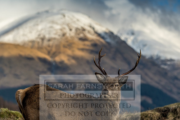 Glen Coe & Glen Etive January 2018-12
