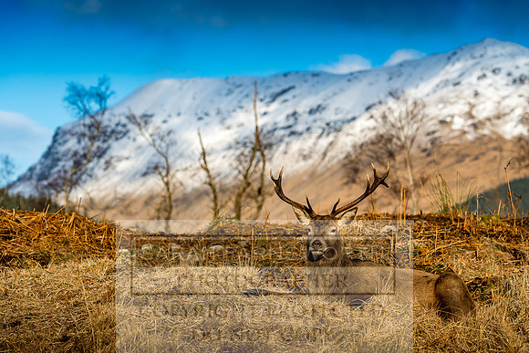 Glen Coe & Glen Etive January 2018-13
