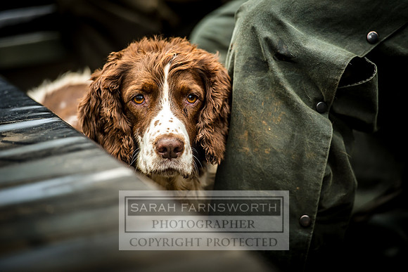Overbury Shoot 071017-390
