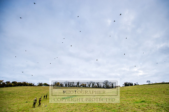 Overbury Shoot 281017-418