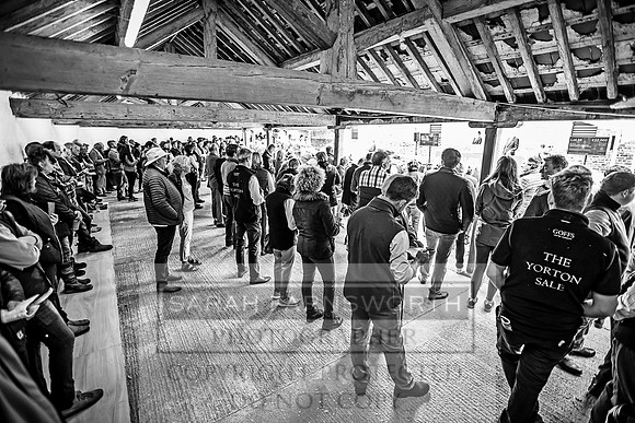 GUK Yorton Sale 2019-332