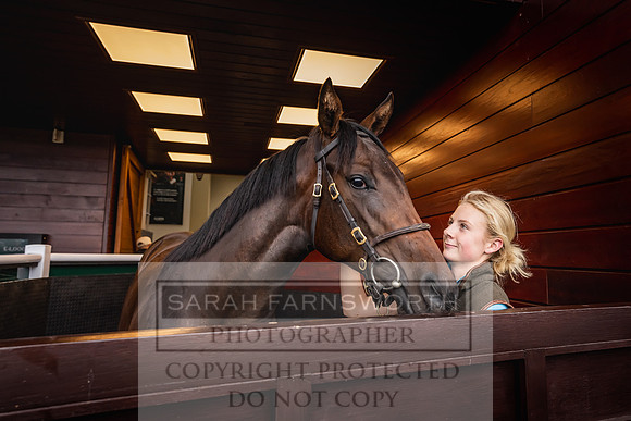 Goffs UK PY24-161