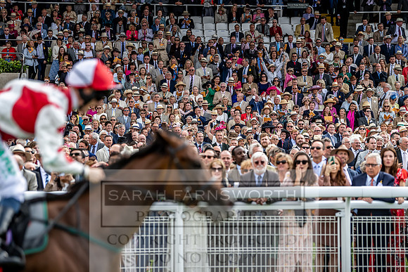GUK Goodwood Sale 2019-100