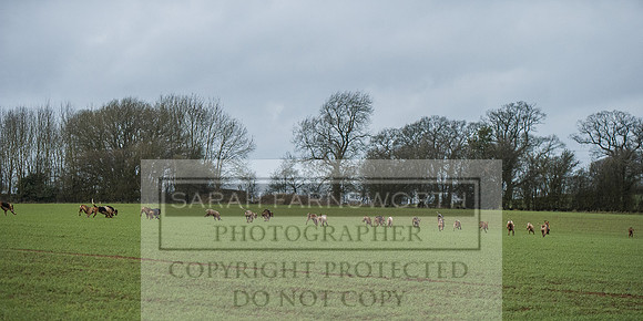 Ludlow 261215-122