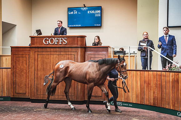 Goffs UK Breeze Up 2022-248