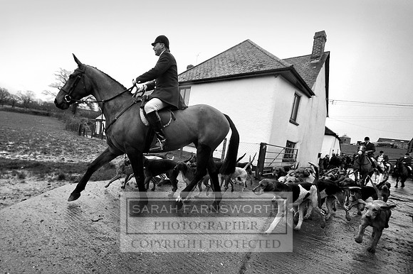 TFH 291212 070 bw