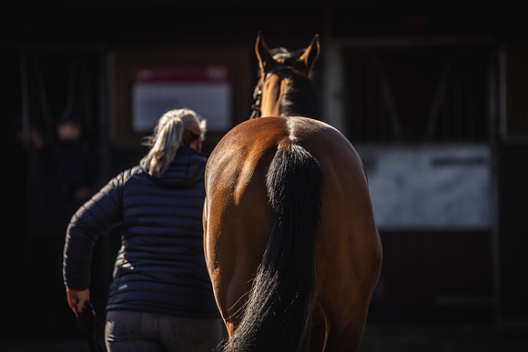 Goffs UK Breeze Up 2022-59