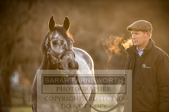 Tweenhills January 2019-95