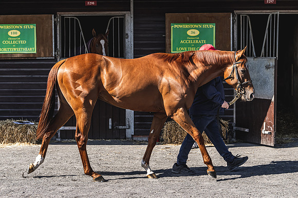 Goffs UK Breeze Up 2022-179