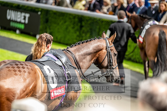 GUK Goodwood Sale 2019-72