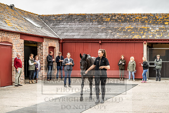 GUK Yorton Sale 2019-151
