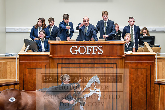 Goffs UK PY24-375