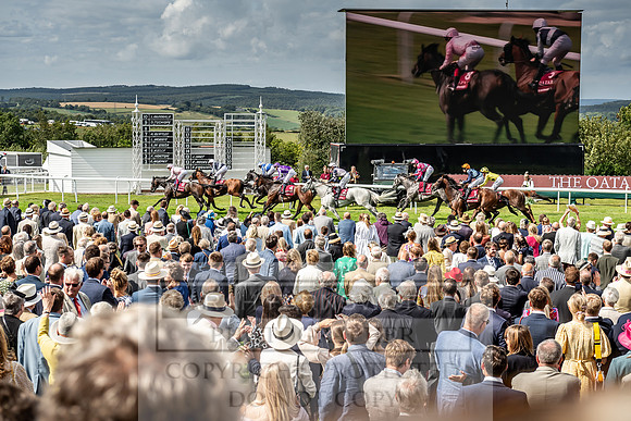 GUK Goodwood Sale 2019-161