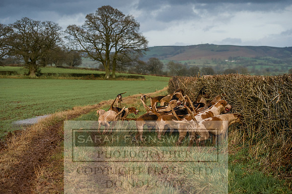 Ludlow 261215-453