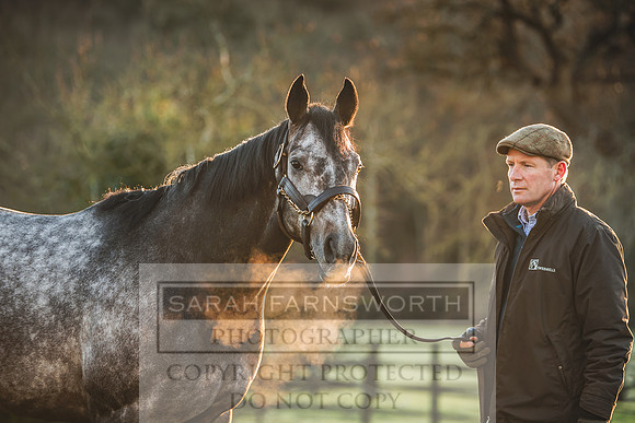 Tweenhills January 2019-99
