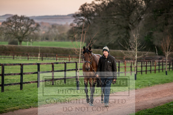 Tweenhills January 2019-45