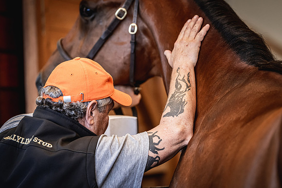 Goffs UK Breeze Up 2022-311
