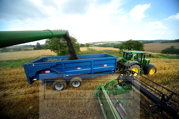 combining r-oil 030