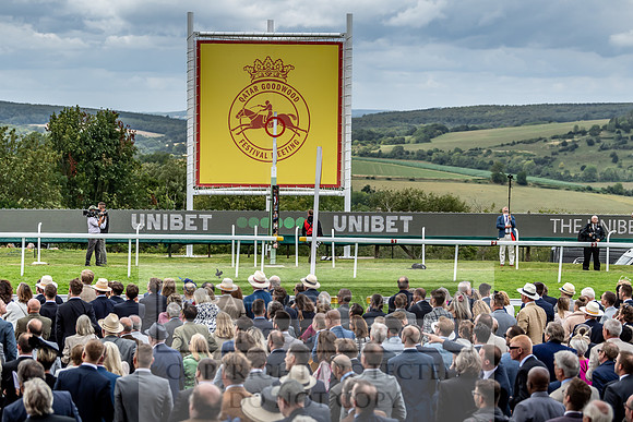 GUK Goodwood Sale 2019-10
