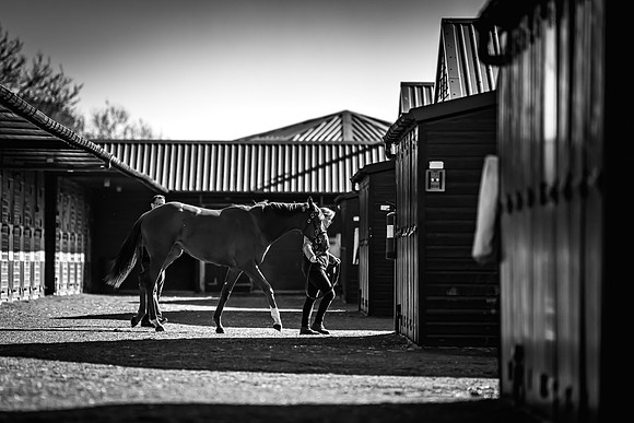 Goffs UK Breeze Up 2022-115