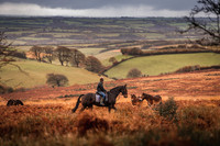 Exmoor Autumn 2020-9
