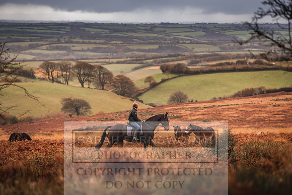 Exmoor Autumn 2020-9
