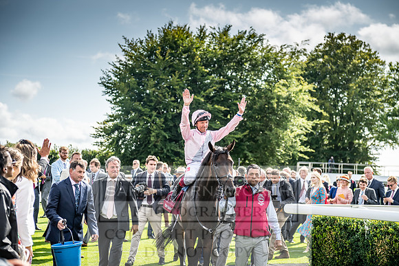 GUK Goodwood Sale 2019-166