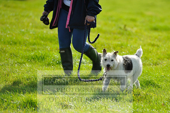 Heythrop Fun Ride 2014-362