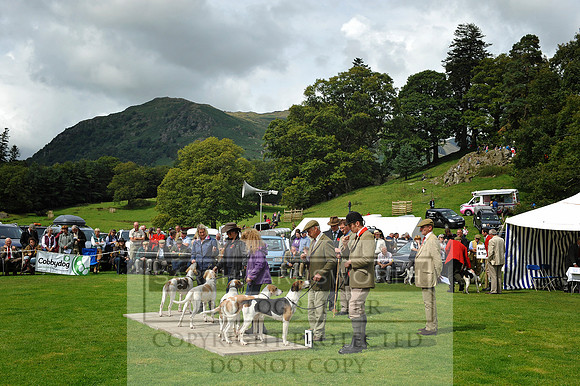 Rydal 2014 CF1 246