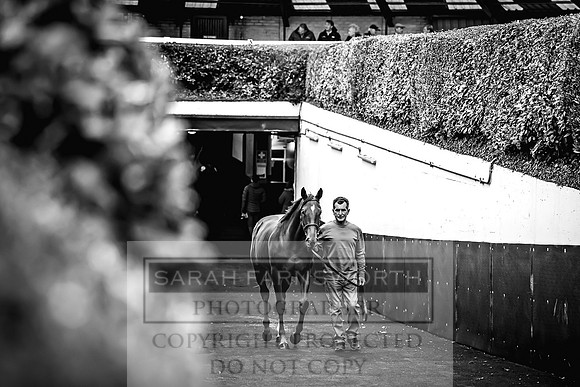 Goffs Orby 2022 Day 1-97
