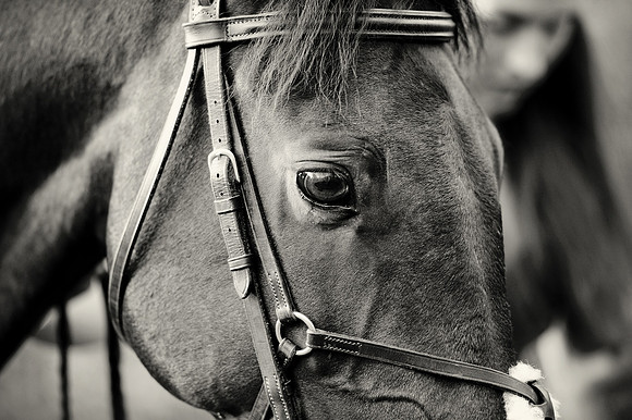 Izzy Bainbridge CF2 597 bw