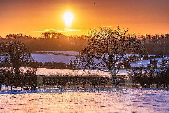 Snowy Cotswolds January 2021-12