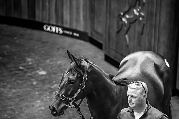 Goffs UK Breeze Up 2022-257
