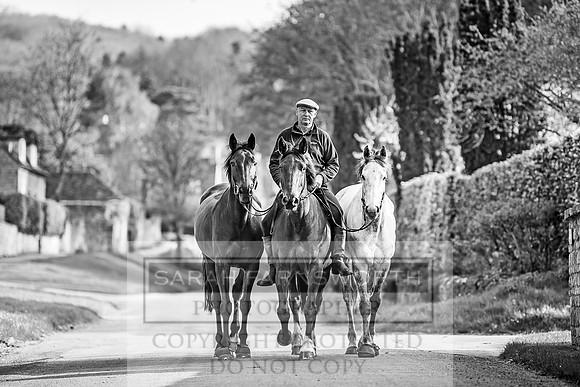 Overbury Horses-3