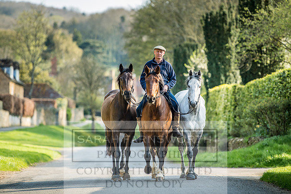 Overbury Horses-2
