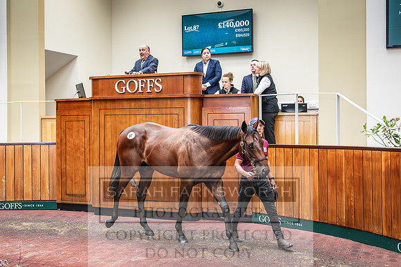 Goffs UK PY24-139