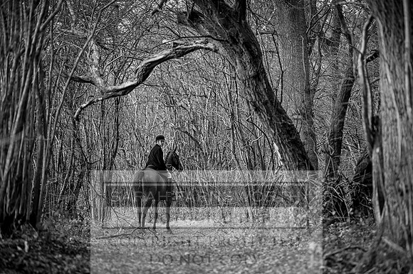 Ludlow 261215-443 bw