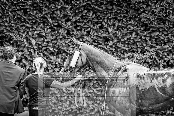 GUK Goodwood Sale 2019-23